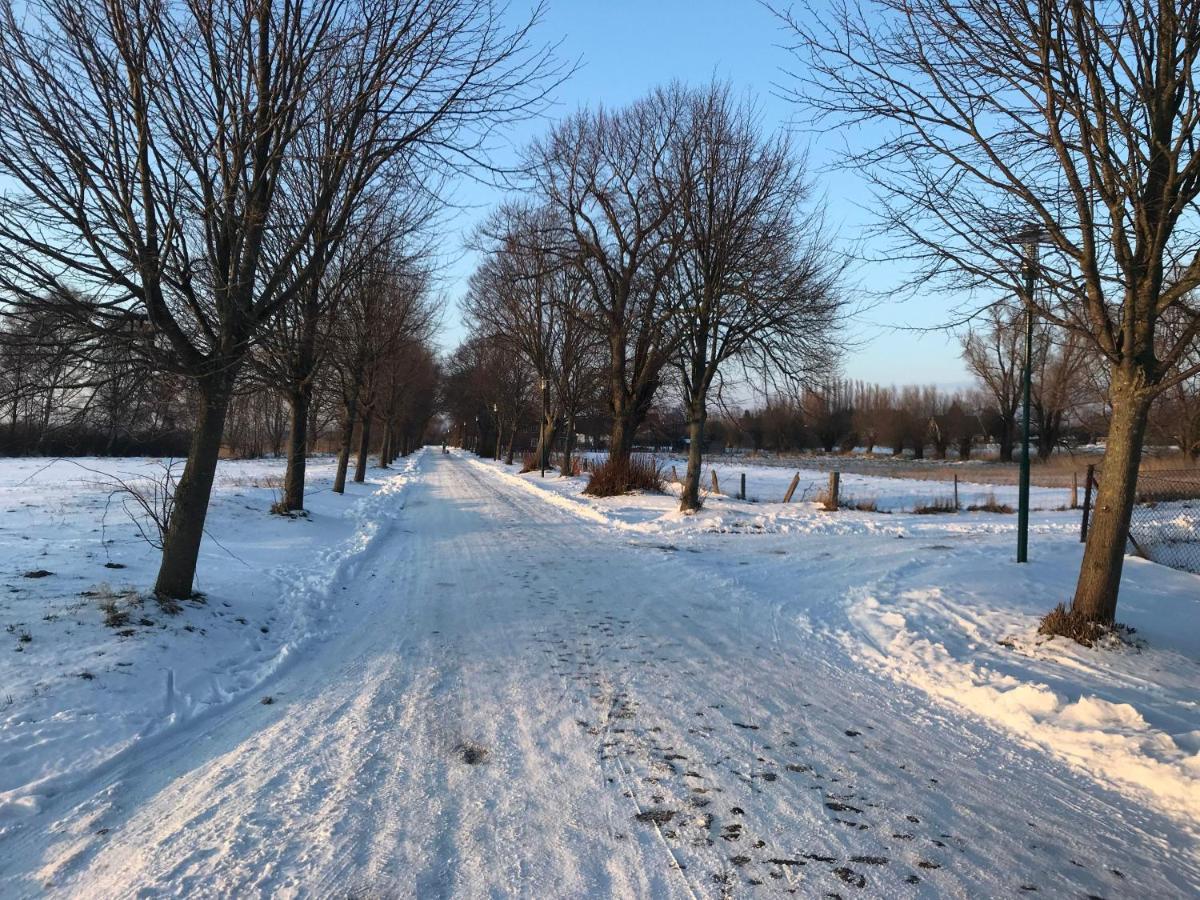 Dat-Klinkerhus Glowe Bagian luar foto